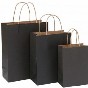 8.3" x 6" x 3" Small Shopping Bag w Handle Black - Green Co.